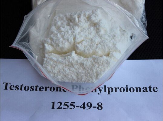 Maintaining Lean Muscle Mass Testosterone Phenylpropionate Hormone 1255-49-8