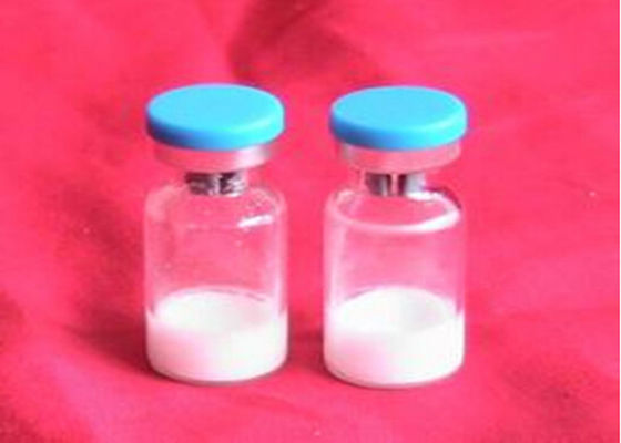 Safe Growth Hormone Peptides Muscle Building Pentadecapeptide BPC 157