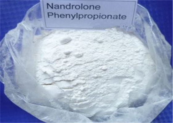 Healthy Durabolin Nandrolone Phenylpropionate Anti Estrogen Drugs Bodybuilding 62-90-8