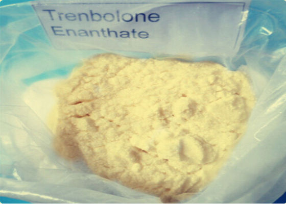 Long Acting Trenbolone Steroids / Trenbolone Enanthate Injection CAS 10161-33-8