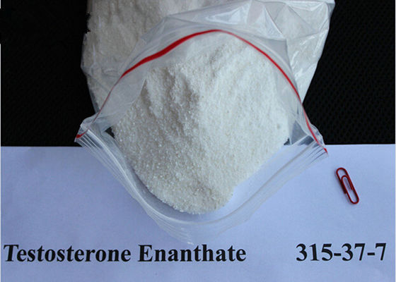 Injectable Testosterone Enanthate Muscle Building 315-37-7