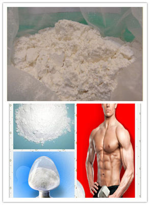 Real Steroid Primobolan Methenolone Acetate Injectable Fat Loss CAS 434-05-9