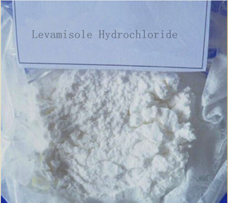 Injectable Levamisole Hydrochloride Levamisole HCl For Vitiligo 16595-80-5