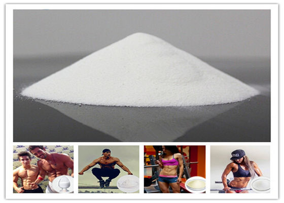 Safe 4 - Chlorotestosterone Acetate Clostebol Acetate Steroid For Man 212-720-4