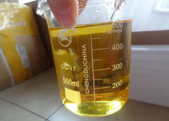 Pre Mixed Steroid Oil TMT Blend 375mg / ml Cycle Tren E Test E Mast E For Muscle Building