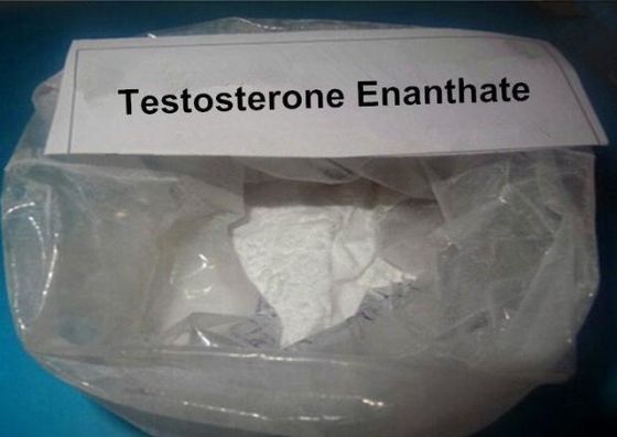 315-37-7 Testosterone Steroids Powder Testosterone Enanthate For Bodybuilder