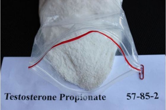 Pharmaceutical Raw Materials White Testosterone Propionate Injection Increasing Muscle CAS 57-85-2