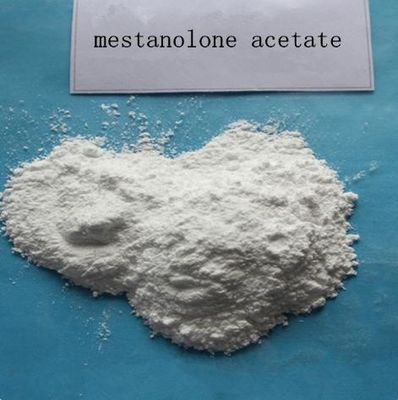Primoteston Methyl-Dht; 17A-Methyldihydrotestosterone Mestanolone for Muscle Leaning CAS 521-11-9