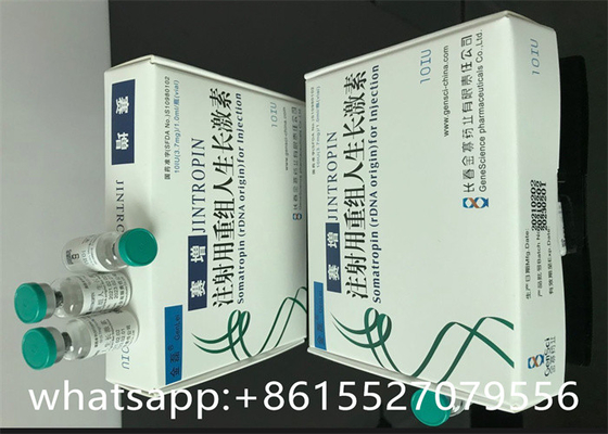 Jintropin 10iu HGH Human Growth Hormone SGS For Musscle Gain