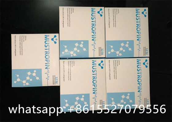120IU Medical MUSTROPIN HGH Somatropin 3.7mg/ vial For Muscle Building