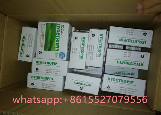 100IU Medical Hygetropin HGH Somatropin 3.7mg/ vial For Muscle Building